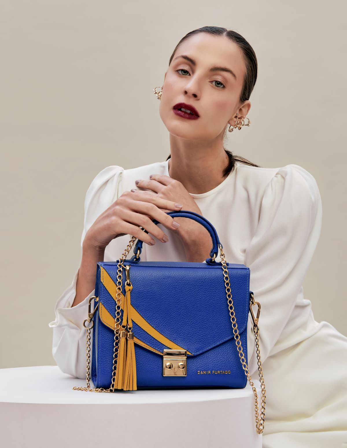 Bolsa Planície Arara Azul| Bolsa de Couro
